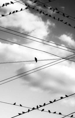 Вся моя жизнь 