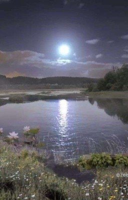 Надежда на жизнь 