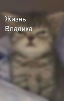 Жизнь Владика