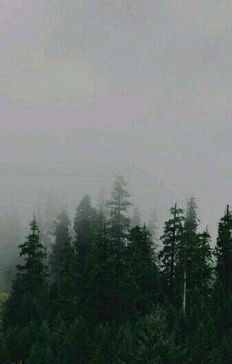 Часодеи. Новая жизнь.