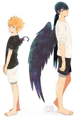 Вороньи крылья