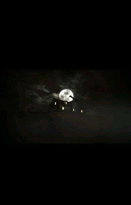 Вторая жизнь