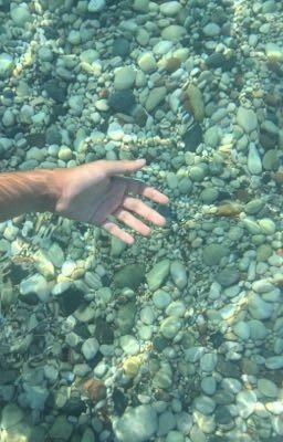 Морская жизнь 