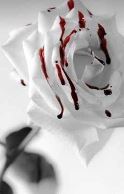 Окровавленные Розы