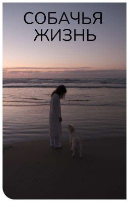 Собачья жизнь