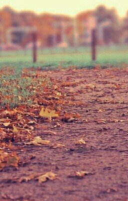 Моя новая жизнь 2.