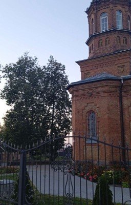 игра/жизнь
