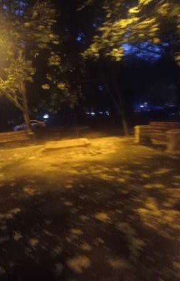 я жизнь люблю