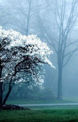 Твоя жизнь в моих руках