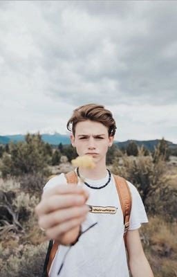 Новая жизнь и новая история 