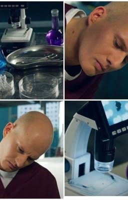 Возрождение жизни(новая жизнь)