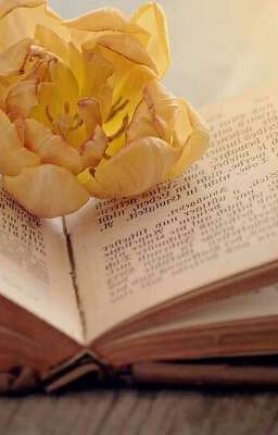 Жизнь - это один огромный миг