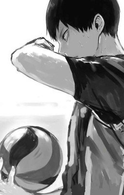 История двух волейболистов