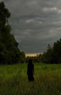 Загадочная жизнь 