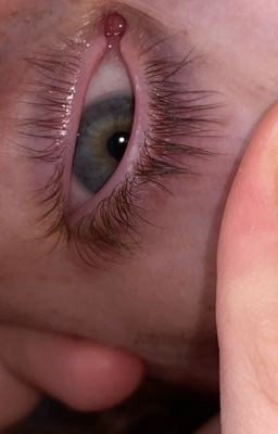 Вторая жизнь