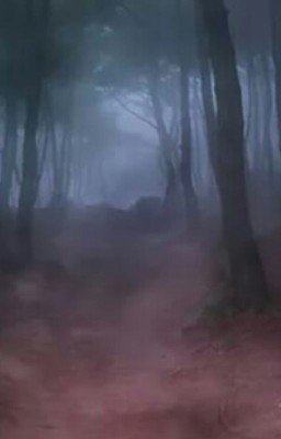 ~Ценою в жизнЬ~