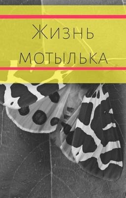 Жизнь мотылька