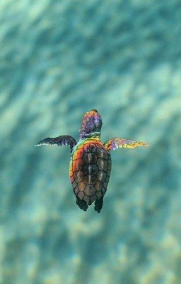 Короткие истории