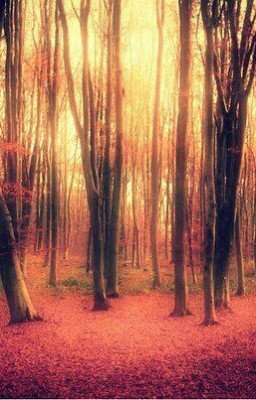 И.Бунин "Хорошая жизнь"