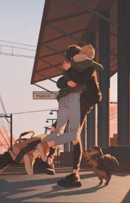 Жизнь с лисами