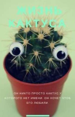 Жизнь кактуса...