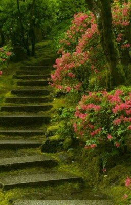 Академия магии. Жизнь продолжается