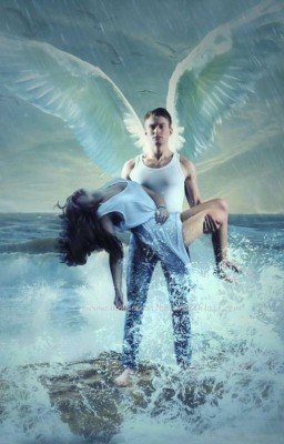 БЕЛОЕ ПЁРЫШКО