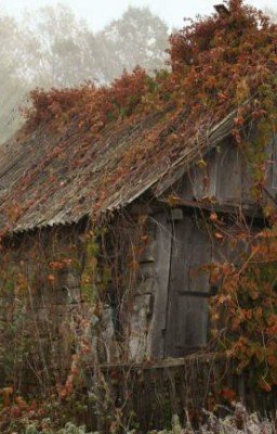 Вся жизнь размером в книгу