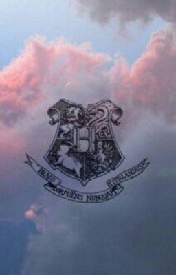 Гарри Поттер: жизнь после войны