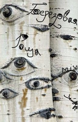 Берёзовая роща 