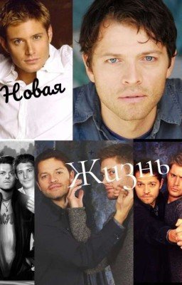   Новая Жизнь: Длится Не Долго! 