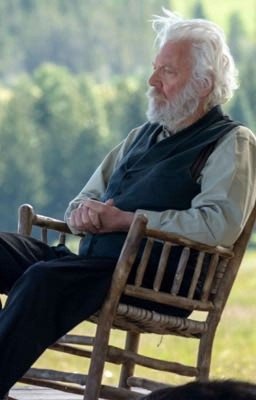 Новелла о том, как прожить чужую жизнь, или так мне казалось.