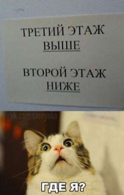 История о том, как до меня доебалась жизнь