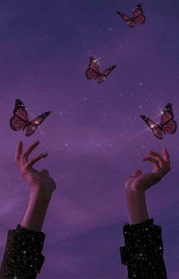 <•Санта Барбара НП•>