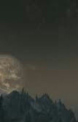 Кошелек И Жизнь