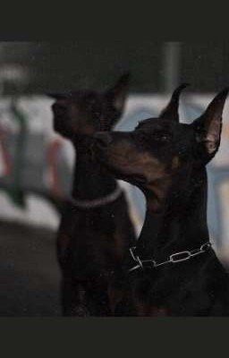 Жизнь после смерти...