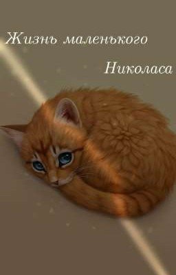 Жизнь маленького Николаса