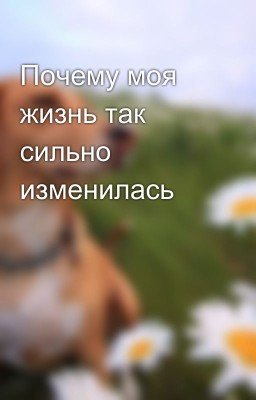 Почему моя жизнь так сильно изменилась