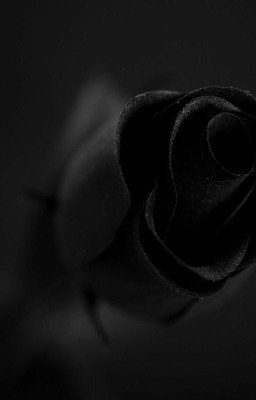 Жизнь героя тьмы