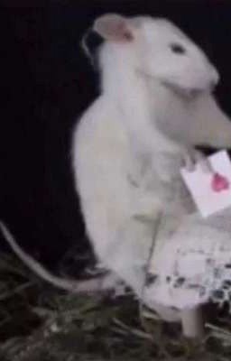 жизнь автора