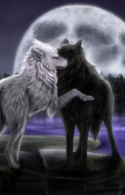 Истинная пара на всю жизнь.