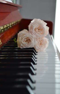 Жизнь пианистки