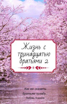 Жизнь с тринадцатью братьями 2