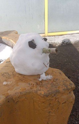 Артём-Андрей "жизнь боль"