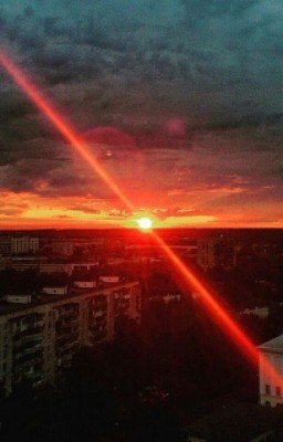 Сон.
