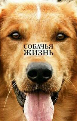 Собачья жизнь