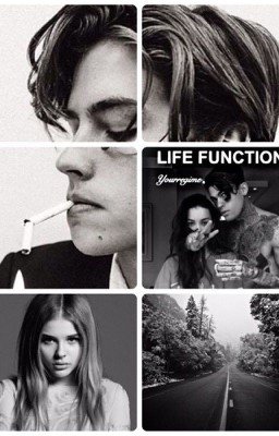 Функция жизни