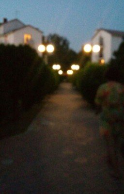 Истории о любви. Сборник.