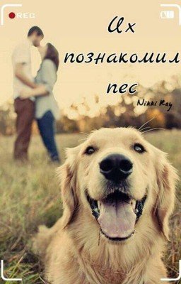 Их познакомил пёс
