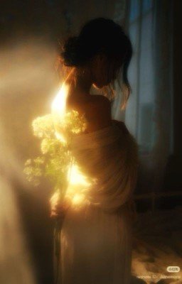 Линия Венеры